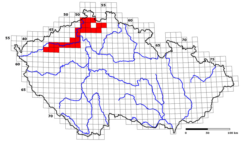 Foto: Atlantische - voorkomen